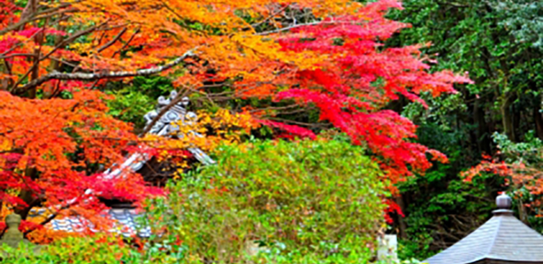 寂光院　もみじまつり