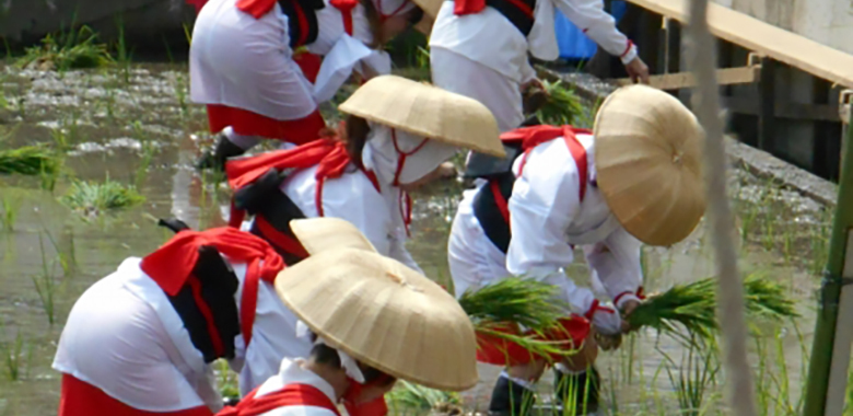 御田植神事